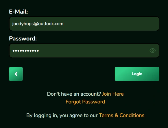 Roo Casino Login Interface